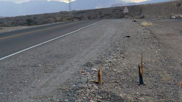 Preocupación porque cada vez hay más robos de carteles en las rutas