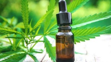 En San Juan, dos pacientes son tratados con cannabis por epilepsia refractaria