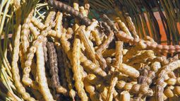 Nueva era para la harina de algarroba: en San Juan hay poca oferta y mucha demanda, pero los productores siguen luchando Nueva era para la harina de algarroba: en San Juan hay poca oferta y mucha demanda, pero los productores siguen luchando