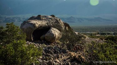 La verdadera historia de la ballena en el medio del campo que es furor en las redes