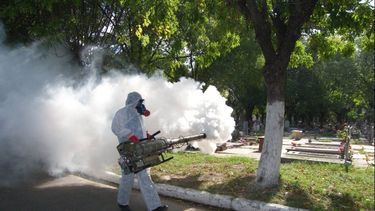 Dengue en San Juan: se confirmaron 13 nuevos casos autóctonos