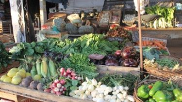 Así funcionarán los servicios en Capital por el feriado