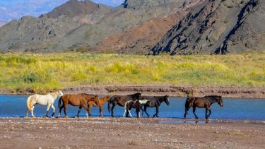 Locura por San Juan en la previa del Finde XL: 92% de ocupación hotelera