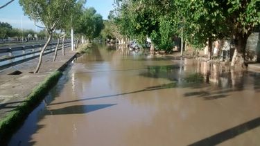 La calle que volvió a ser del agua