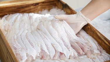 En la previa de Semana Santa, recomendaciones para no comprar pescado en mal estado