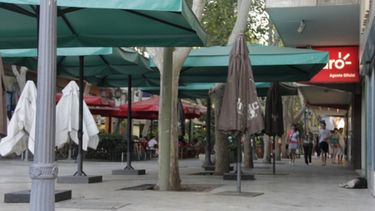 Menos colectivos y poco y nada funcionando en el feriado