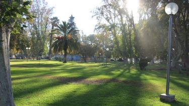 Atención: estas son algunas de las actividades que se flexibilizarán a partir del sábado 26