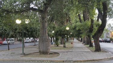Del esplendor a la ruina: la Avenida Rawson resucitará