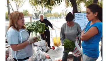 En Chimbas, verduras de la chacra a su mesa