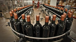 Exportaciones: el mosto sigue creciendo en San Juan, mientras el vino marcó una leve caída en volumen Exportaciones: el mosto sigue creciendo en San Juan, mientras el vino marcó una leve caída en volumen