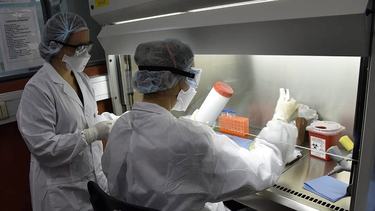 San Juan registra casos sospechos de gripe H3N2 que están siendo analizados en el Instituto Malbrán.