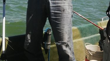 Pescan un ‘matungo’ de 3 kilos en Cuesta del Viento