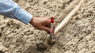 El estudio ha generado un fuerte debate en la comunidad científica