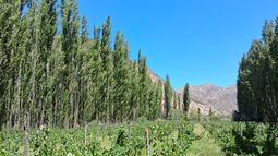 San Juan tendrá una jornada en la que las nubes podrían robarle el protagonismo al sol.