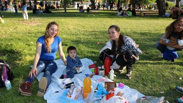 Llegó la primavera: mirá cómo estará el tiempo