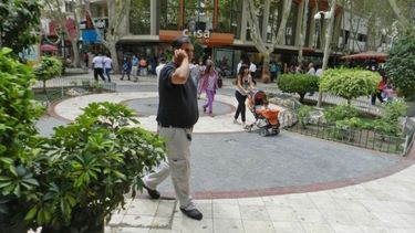 Mirá cómo funcionarán los servicios este martes, feriado nacional