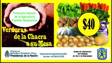 Verduras de la chacra a su mesa llega a Chimbas