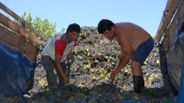 Bodegueros intimados a la conciliación obligatoria