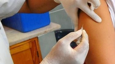 Gripe A: confirmaron un niño fallecido y 41 casos positivos