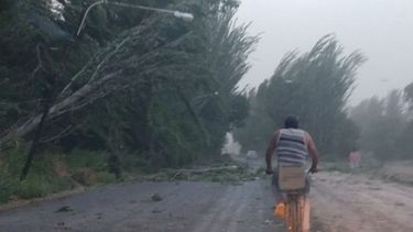 ¡Cierren todo!: renovaron el alerta por ventarrón de viento Sur en San Juan