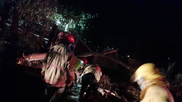 Video: un árbol se cayó por el viento y derribó el tendido eléctrico