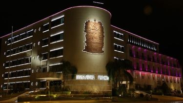 La Cámara de Diputados se ilumina de rosa