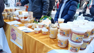 Se viene una feria especial por el Día Internacional de las Abejas en San Juan.