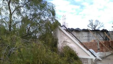 Milagro en Pocito: cayó un árbol centenario a milímetros de la obra del maestro Beretta