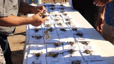 El IPV recorrerá los barrios para rescatar casas alquiladas y abandonadas