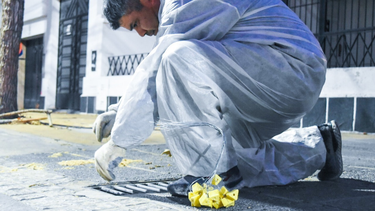 Capital avanza con la campaña de desratización y ya está en la segunda etapa.