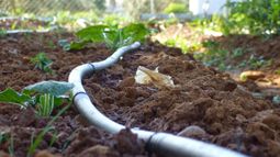 Atención productor, charlas sobre riego superficial y por goteo