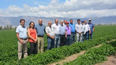 Representantes del Consejo Mundial de Tomate de Proceso, en San Juan