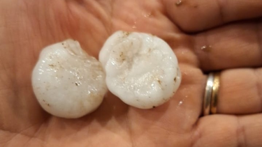 La tormenta con granizo afectó primero al departamento Pocito, anoche.