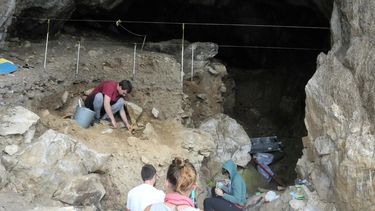 El grupo de científicos trabaja en la recuperación de la mayor cantidad de restos de la familia.