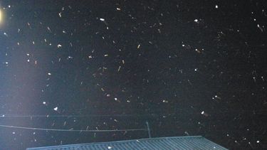 Cayó agua nieve en Albardón, Rivadavia y Rawson