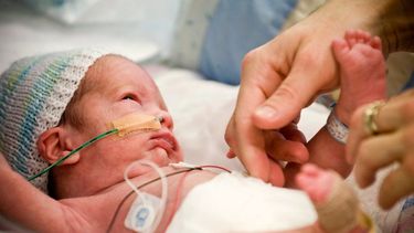 Talleres y relatos de vivencias, actividades para la semana del prematuro