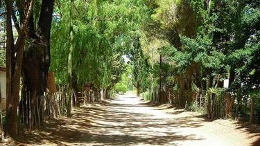 Un feriado con máxima de 33º y probables tormentas aisladas hacia la noche