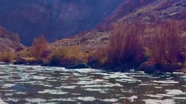 Video: un río apareció congelado en Calingasta