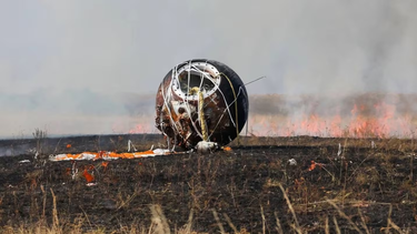 Una nave rusa llevó ratones y moscas al espacio pero... ¡volvió con sorpresas!