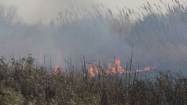 El Zonda otra vez ocasionó incendios en Médano de Oro y Carpintería