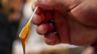 Los beneficios de la miel, desde la mirada de productores y apicultores sanjuaninos