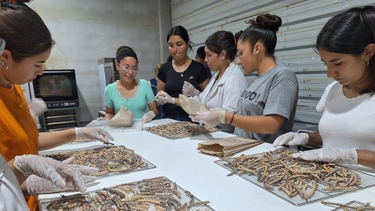 Impulsan un modelo educativo-productivo en Valle Fértil con una inversión de más de $22 millones