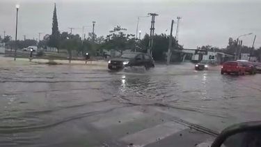 Videos, las lluvias inundaron una importante calle de Rivadavia: cómo seguirá el tiempo