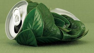 ¿Tenés una iniciativa sustentable? Fundación BSJ la premia