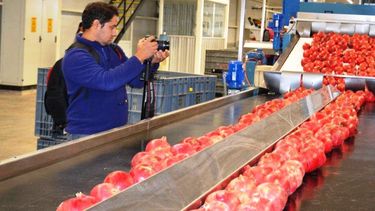 Arrancó la planta de empaque de granadas en El Acequión