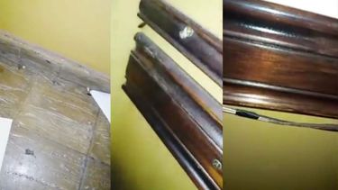 Otra vez sopa: filmaron cómo las cucarachas invadieron un bar céntrico