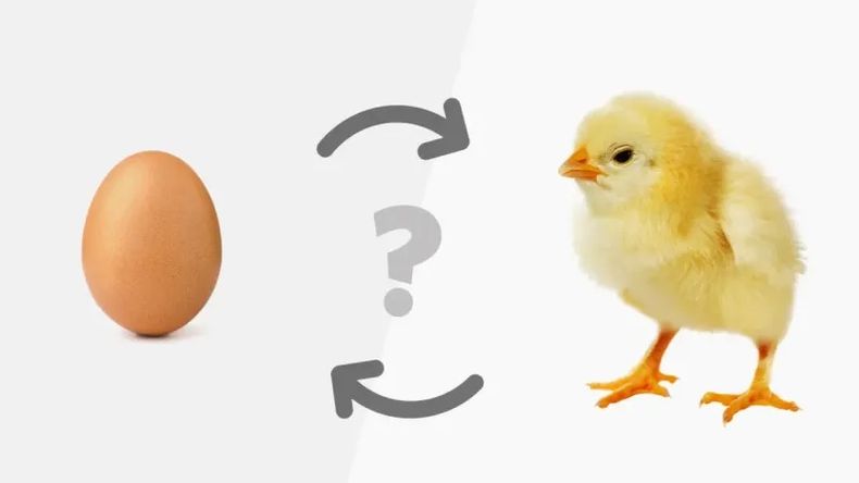 El misterio llegó a su fin: ¿qué fue primero, el huevo o la gallina?