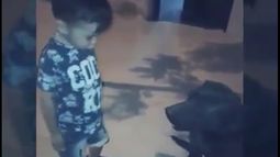 Video: el nene más sensible con los perros es sanjuanino