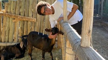 El reencuentro de Eduardo y su cabra Eloisa luego de salvarla del matadero