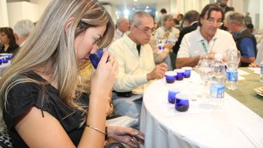 Los aceites de oliva tuvieron su noche de premiación en el marco de Argoliva
